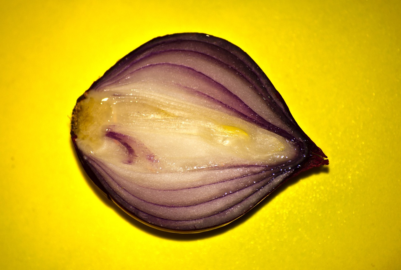 red onion vegetable cut free photo