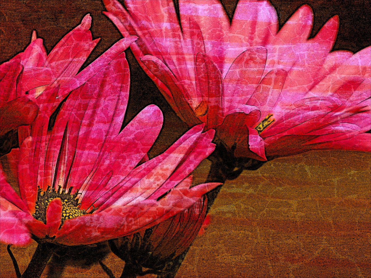 Red,aster,flower,textured,digital art - free image from needpix.com