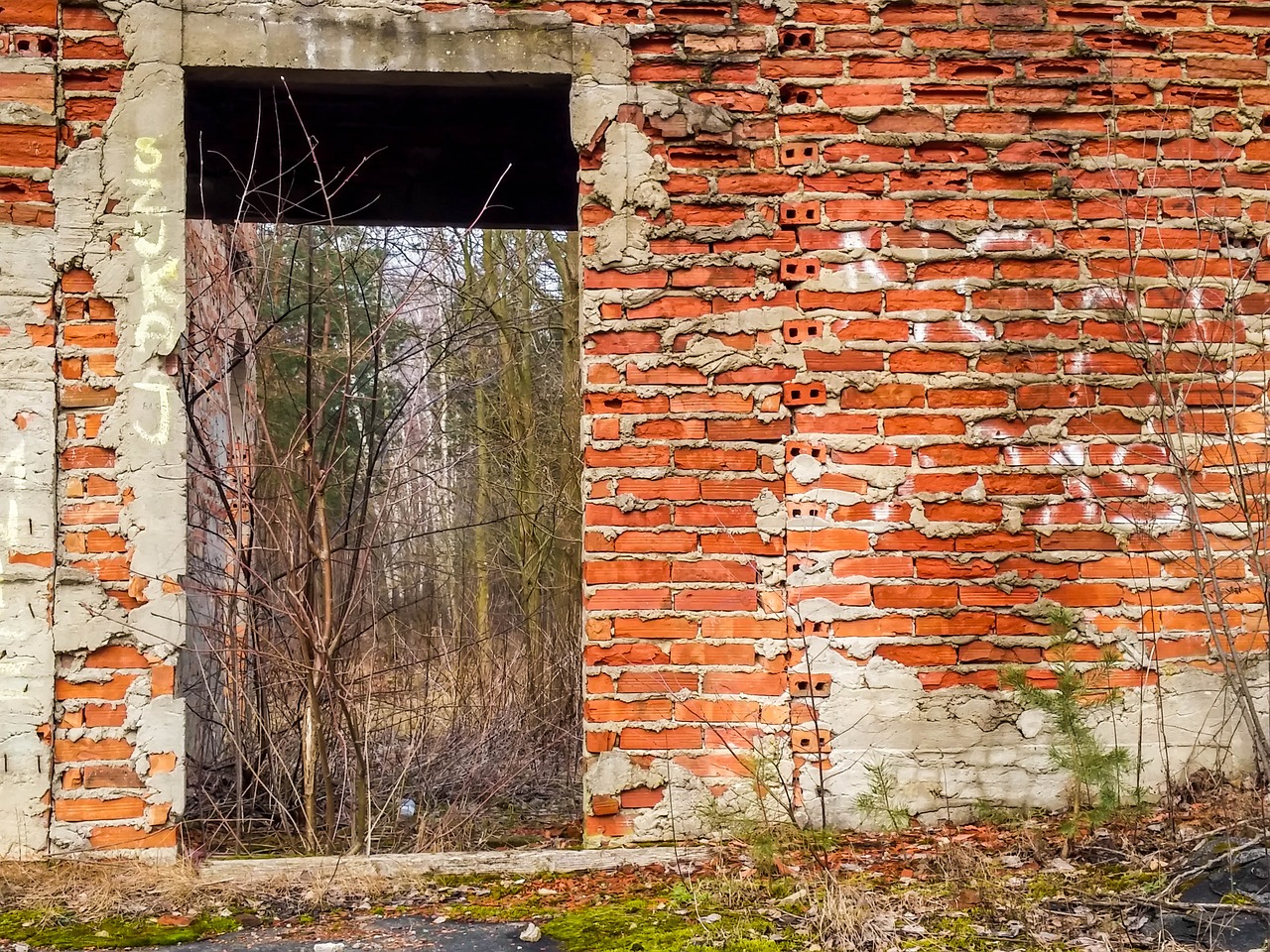 red brick the door free photo