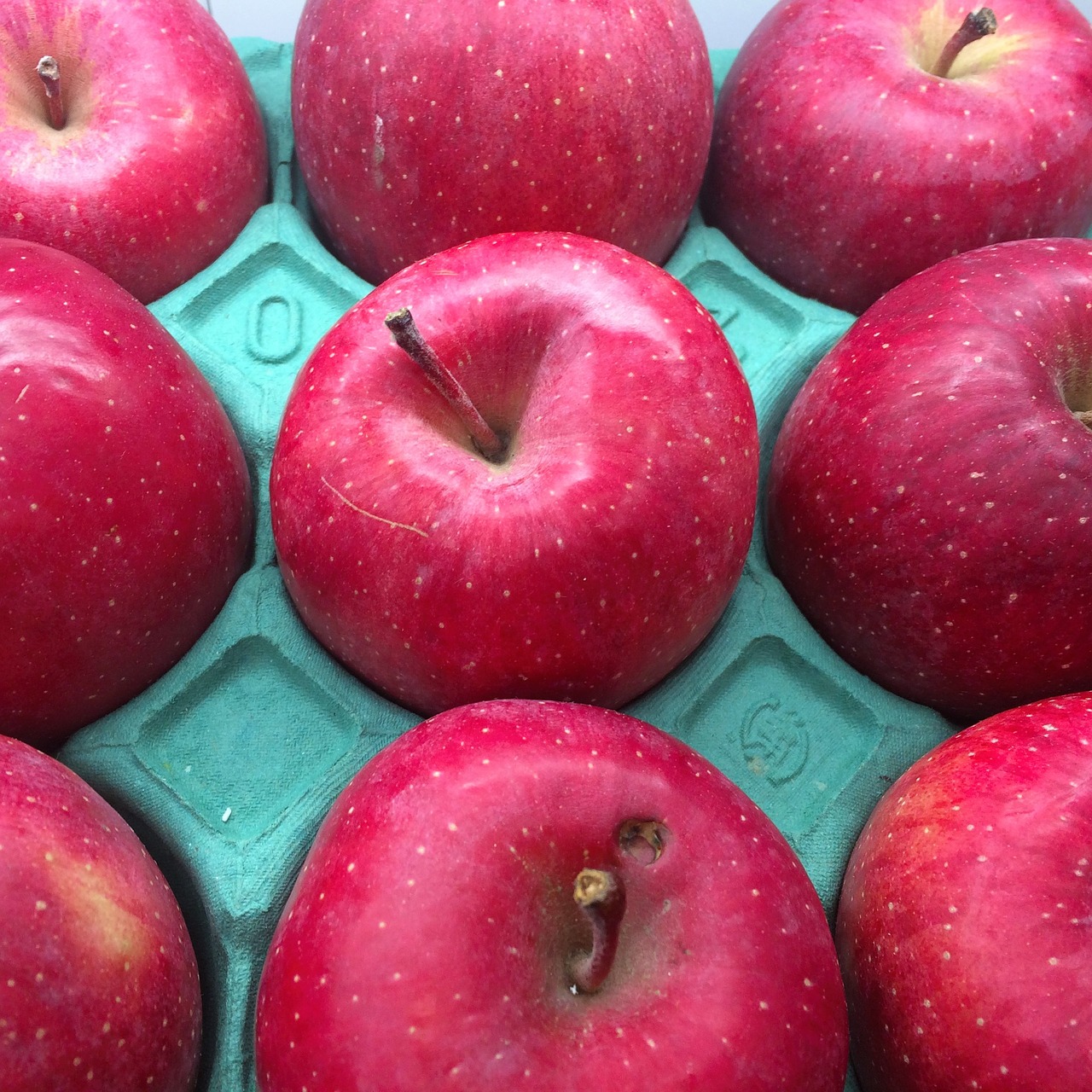 red ringo apple free photo