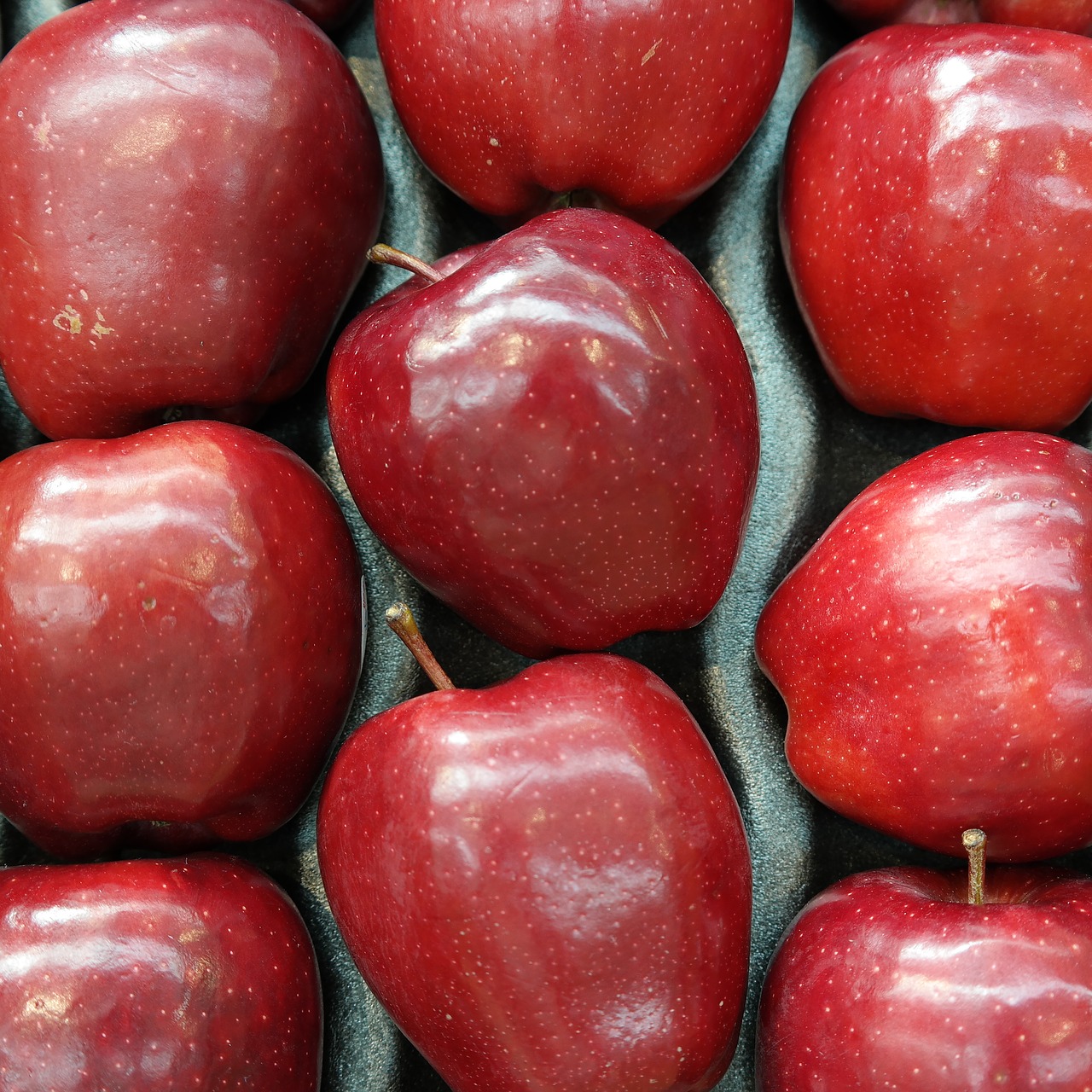 red apples fruit free photo