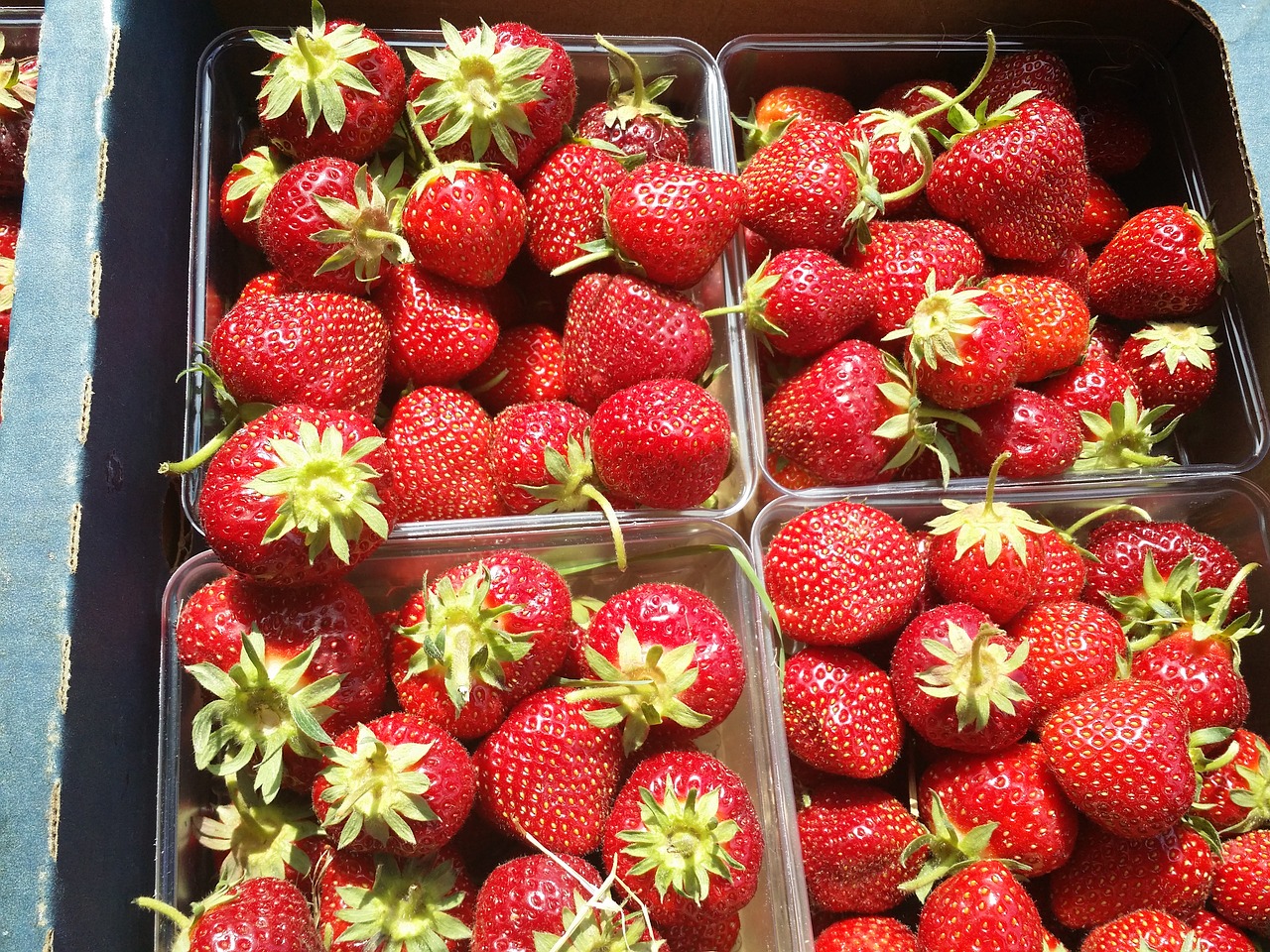strawberries summer red free photo