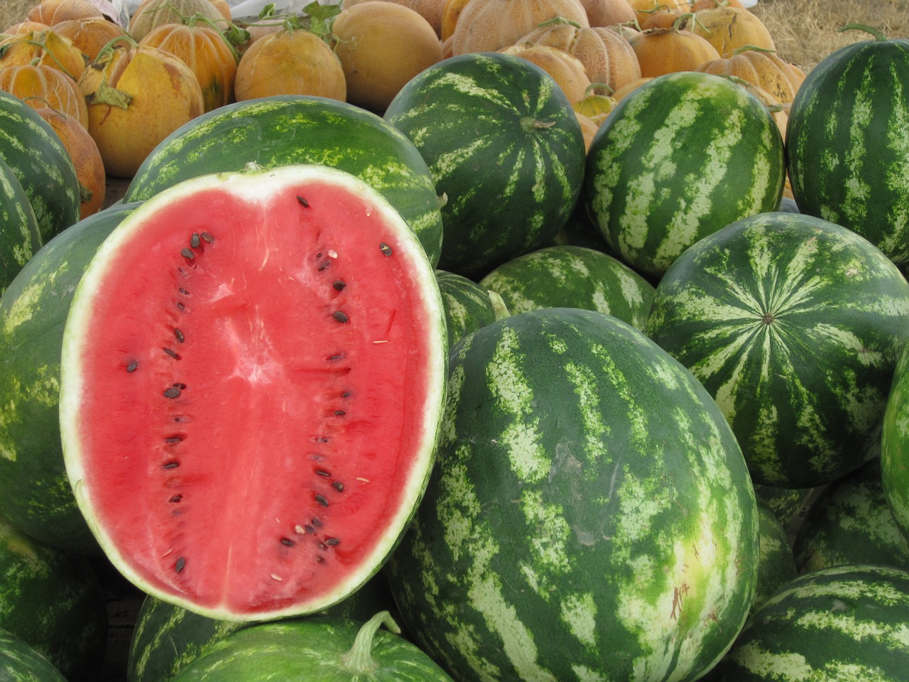 red watermelon summer free photo