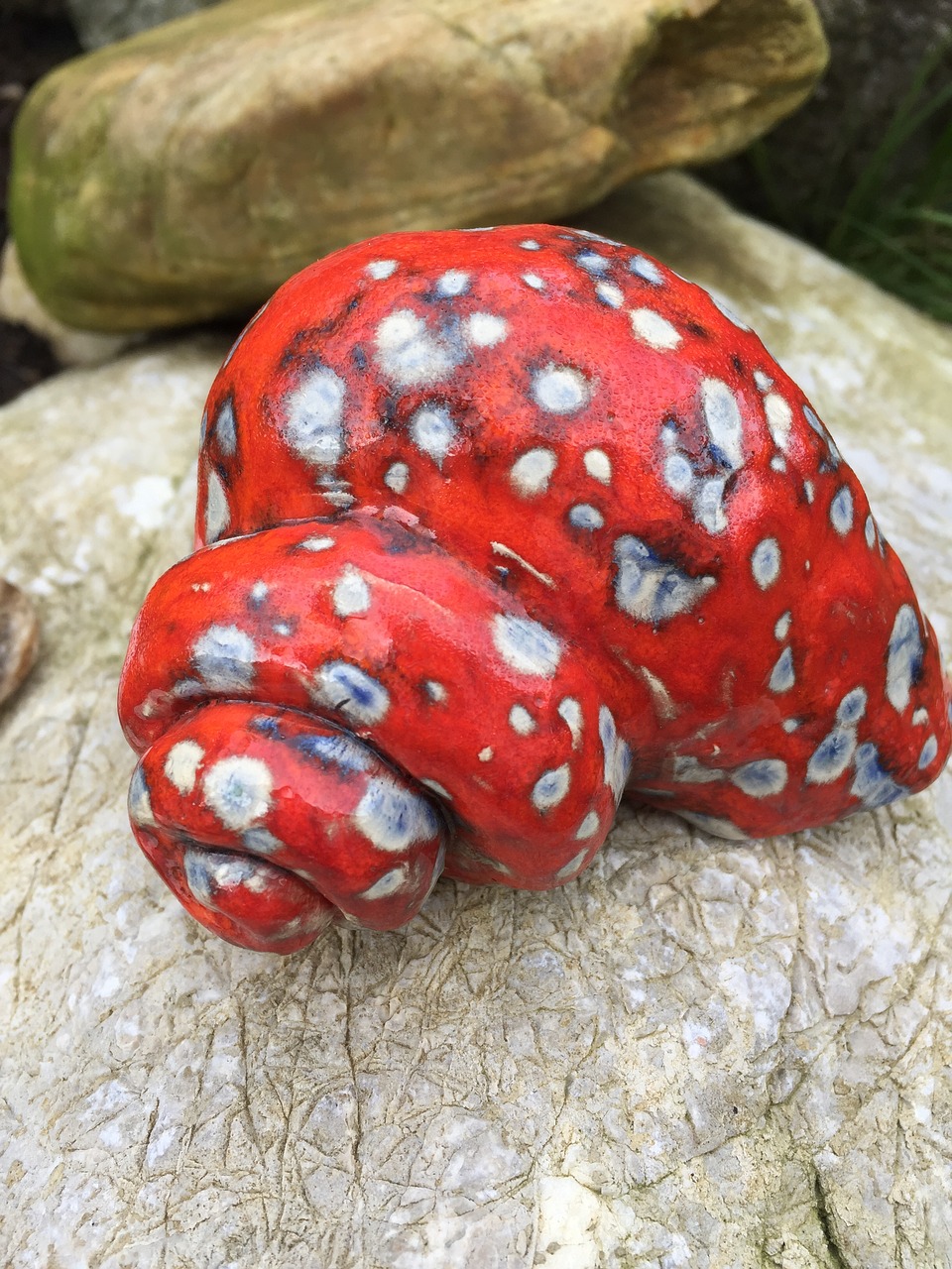 red shell stone free photo