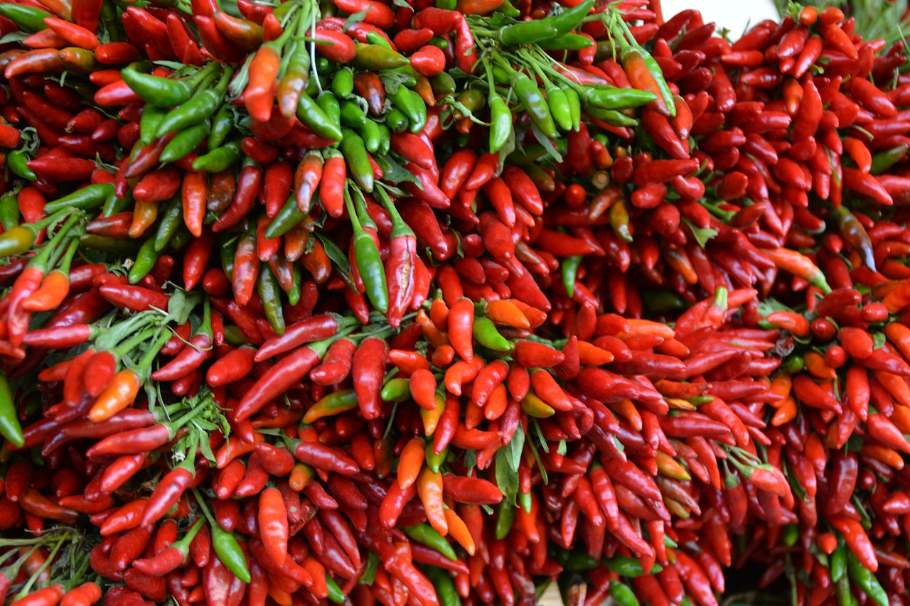 red chilli edible free photo