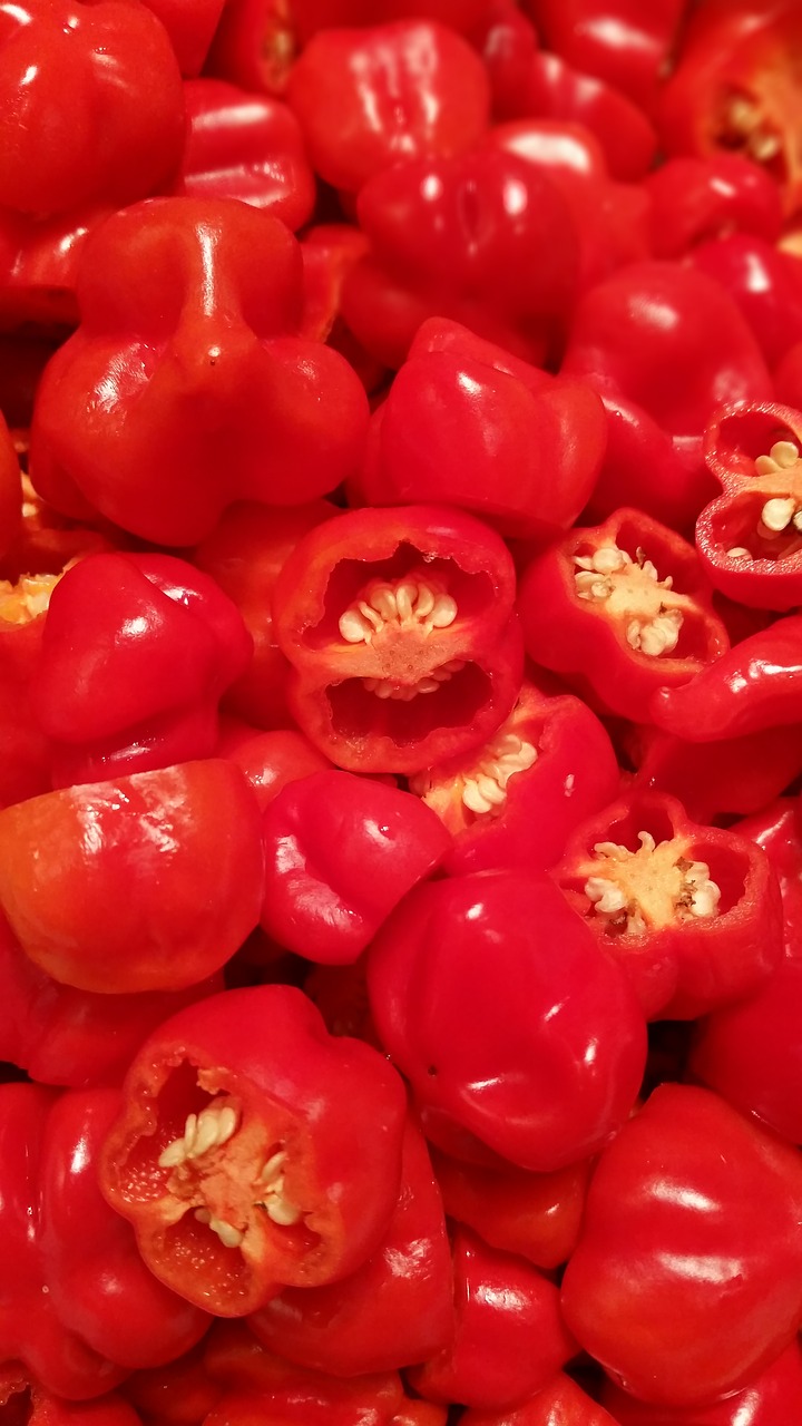 red peppers portrait free photo