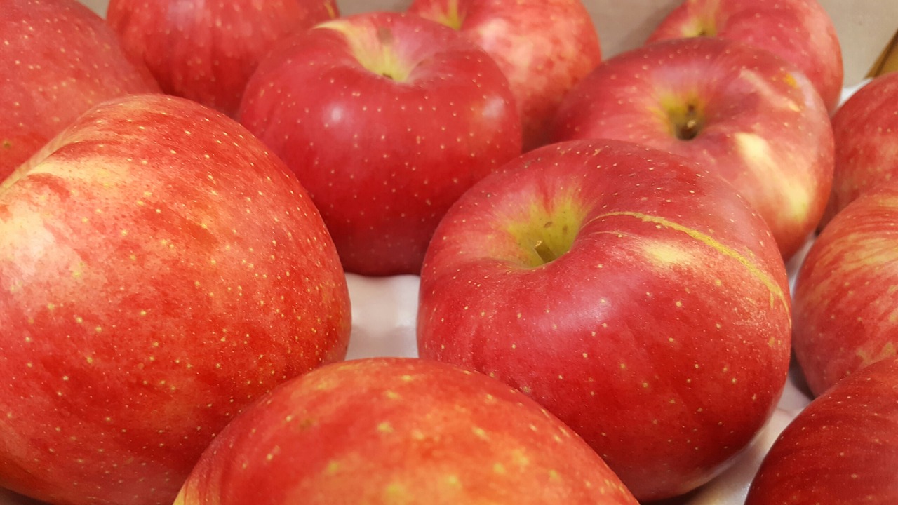 red apple fruit free photo