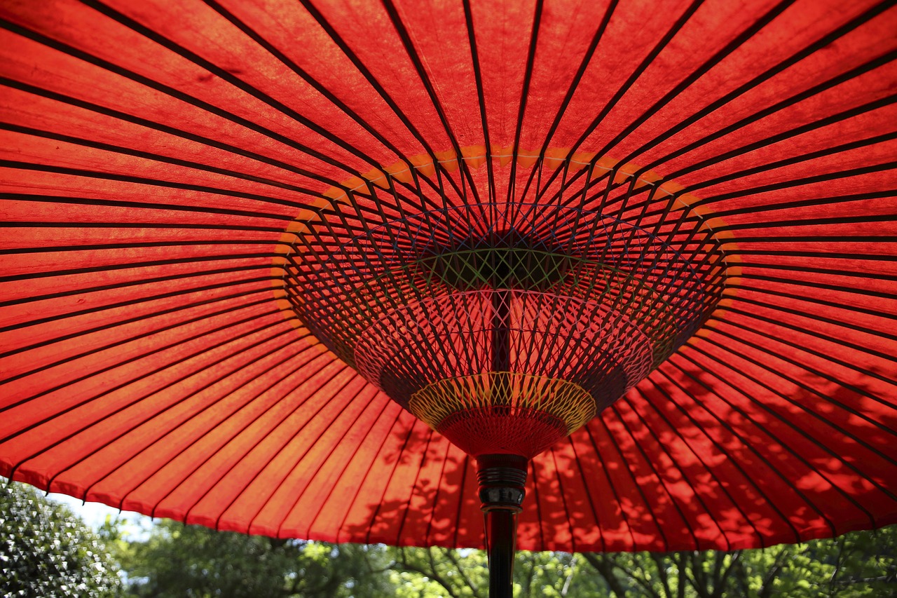 red umbrella trees free photo