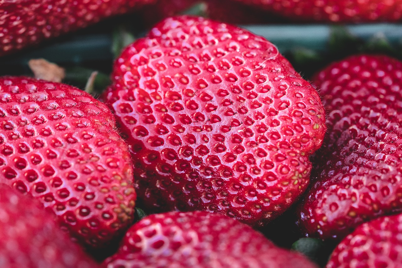 red fruit seeds free photo