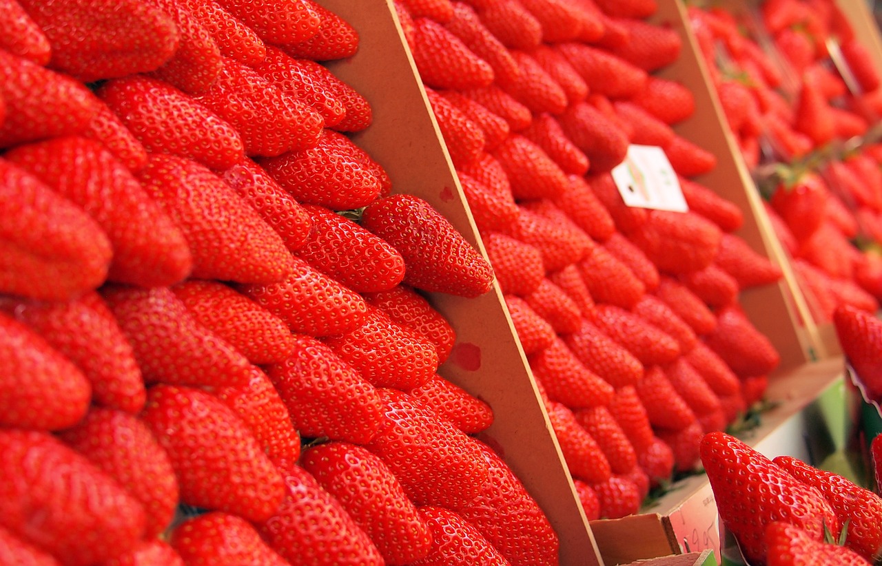 red strawberries strawberry free photo