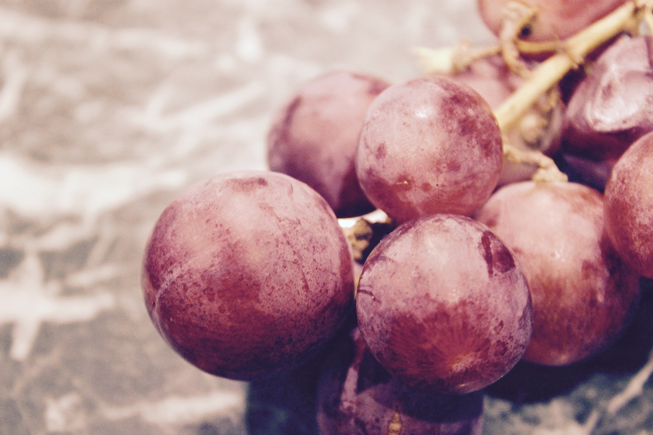 red grapes fruits free photo