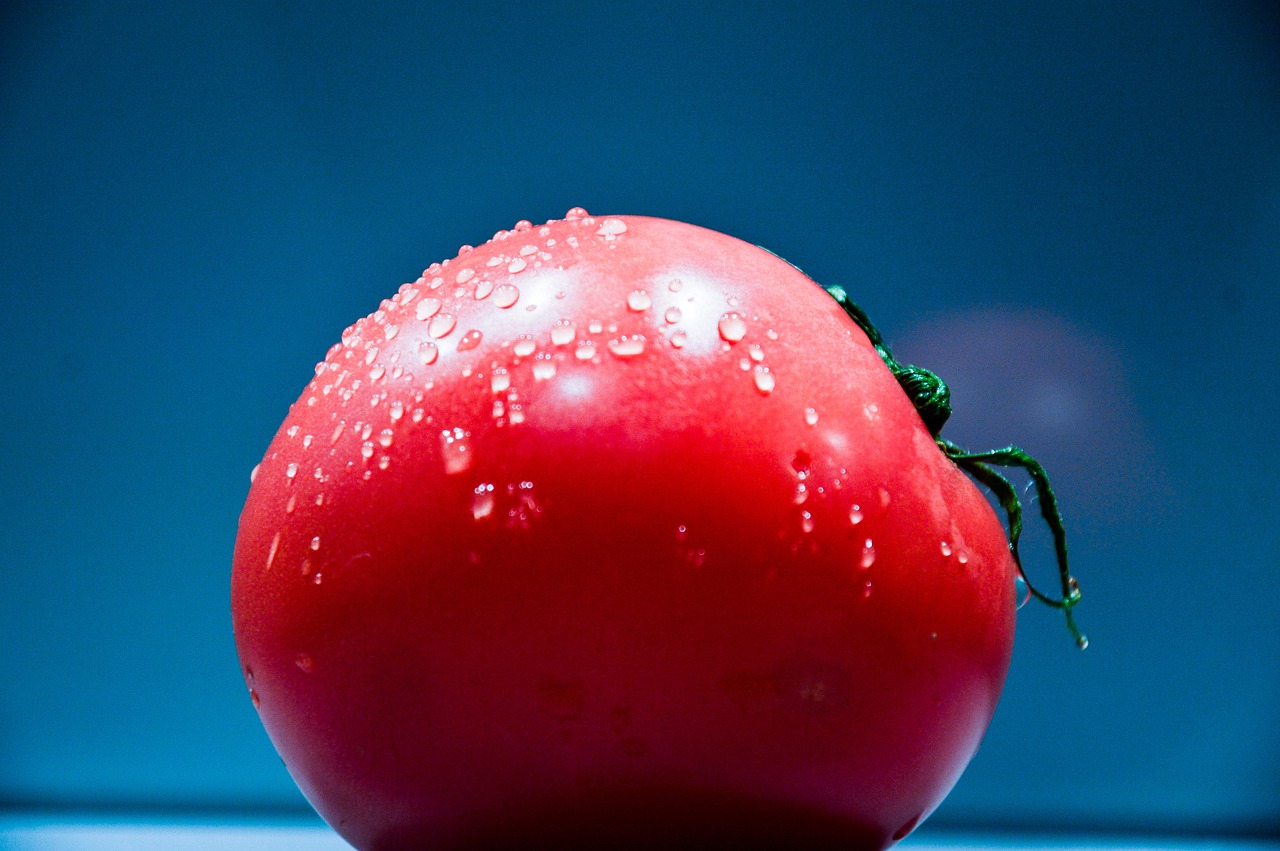 red tomato vegetables free photo