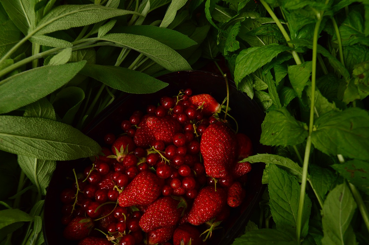 red fruit red strawberry free photo