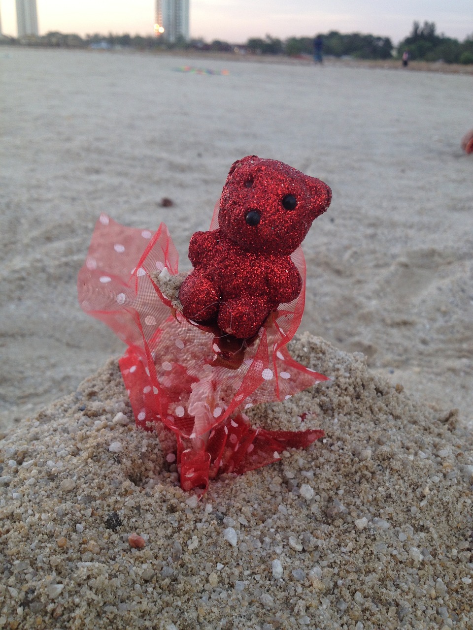 red bear seaside free photo
