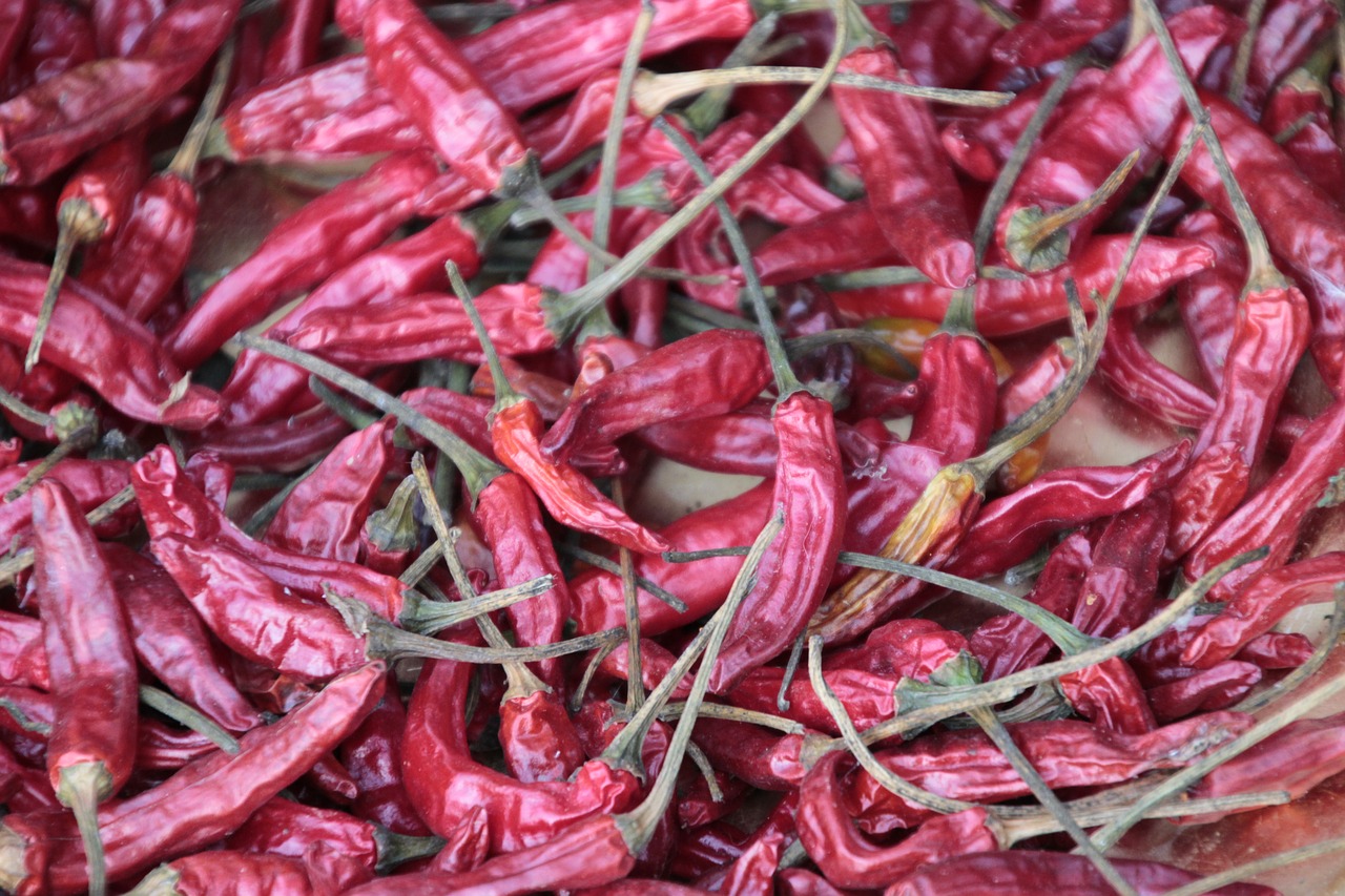 red dried chilli free photo