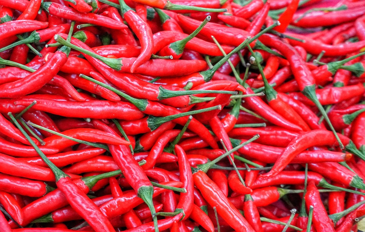 red hot chili free photo