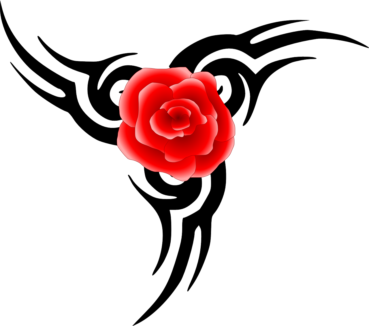 red rose flower free photo