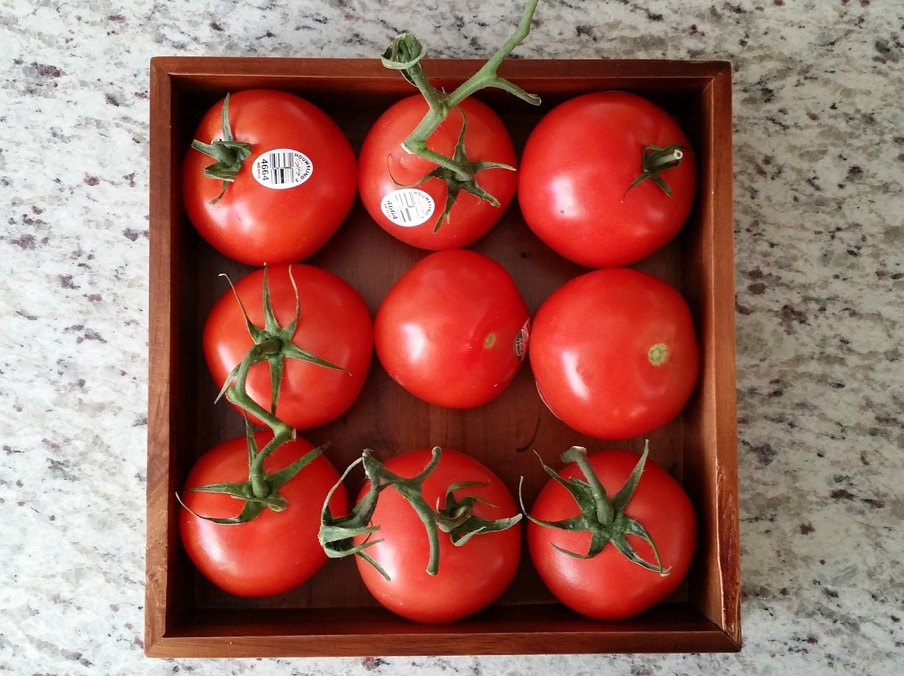 red  tomatoes  still life free photo