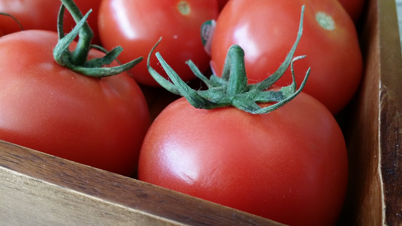 red  tomatoes  vegetables free photo