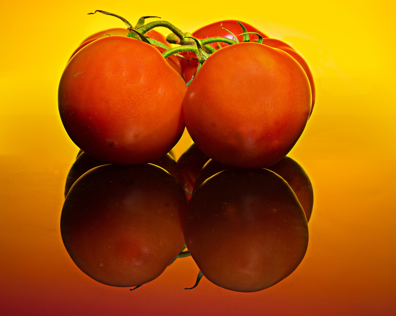 red  tomatoes  fresh free photo