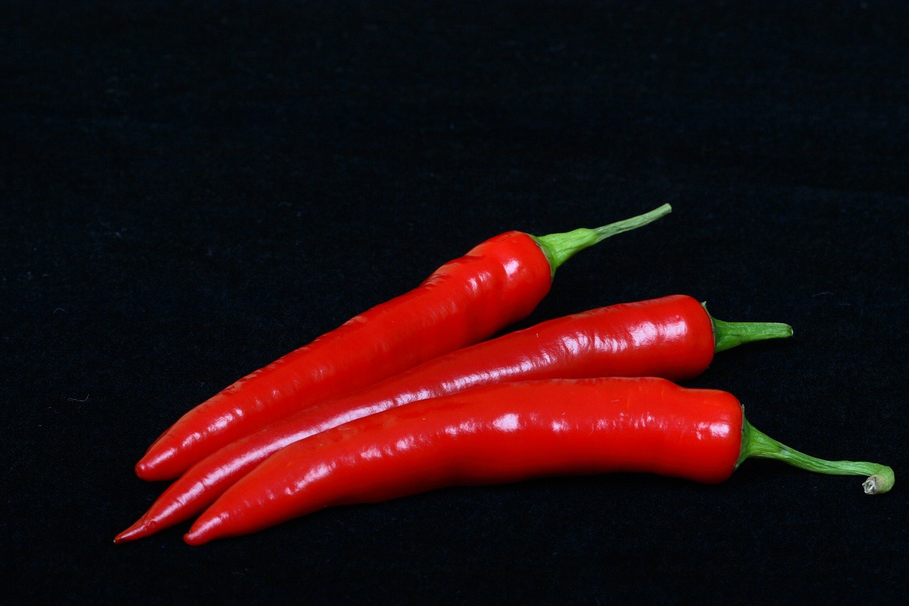 red hot pepper free photo