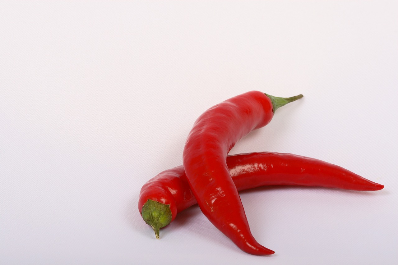 red hot pepper free photo