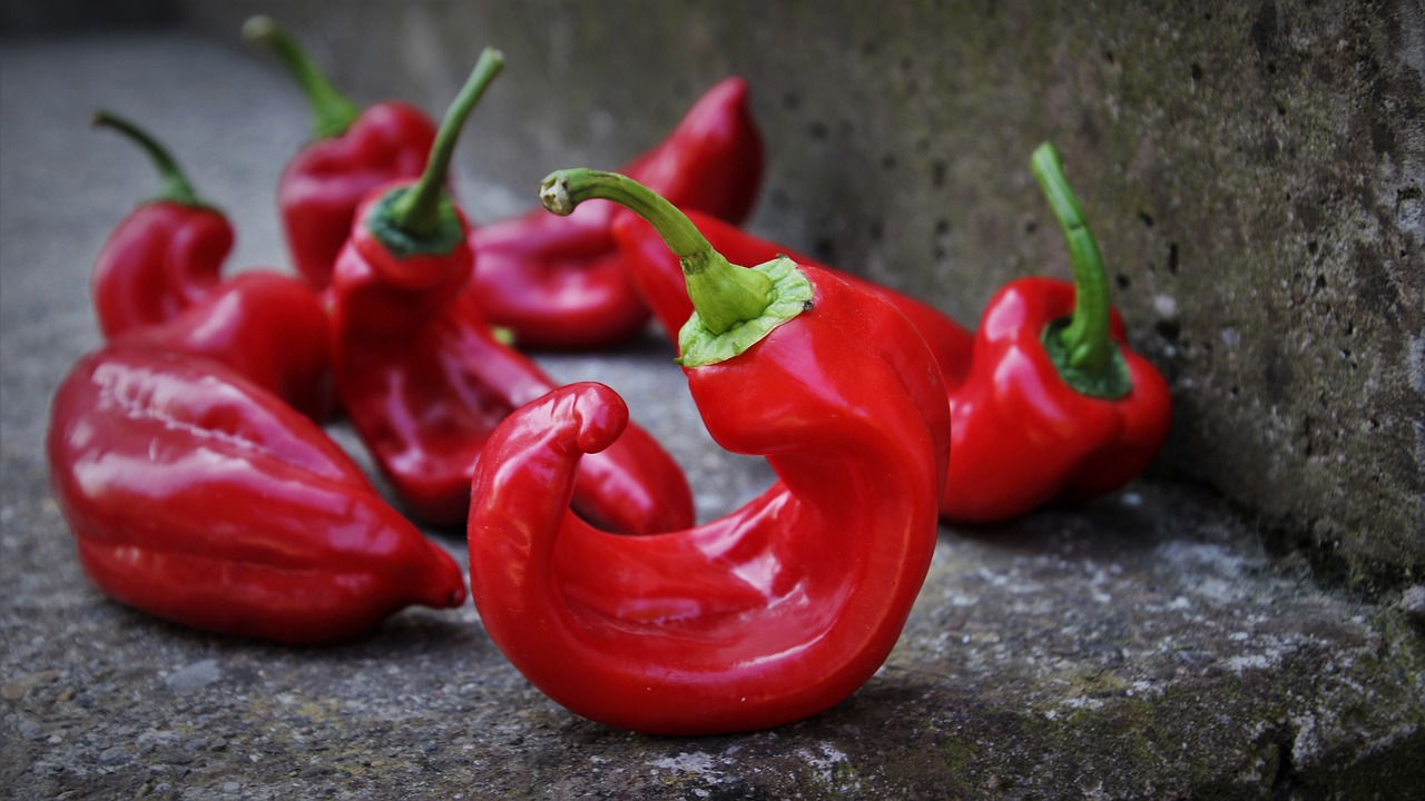 red  paprika  diet free photo