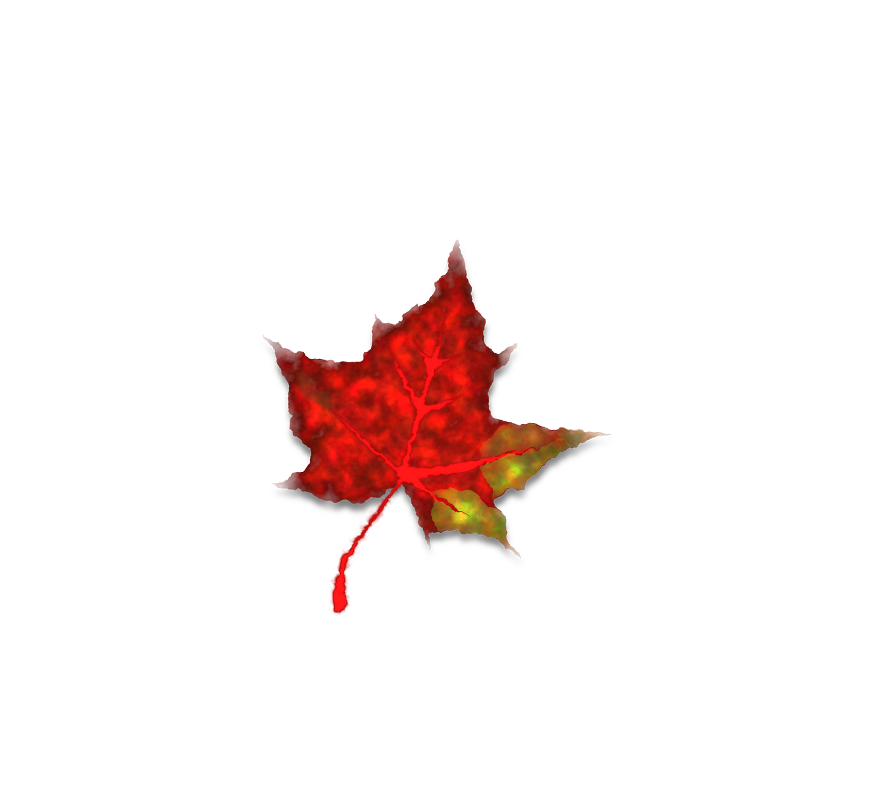 red maple leaf free photo