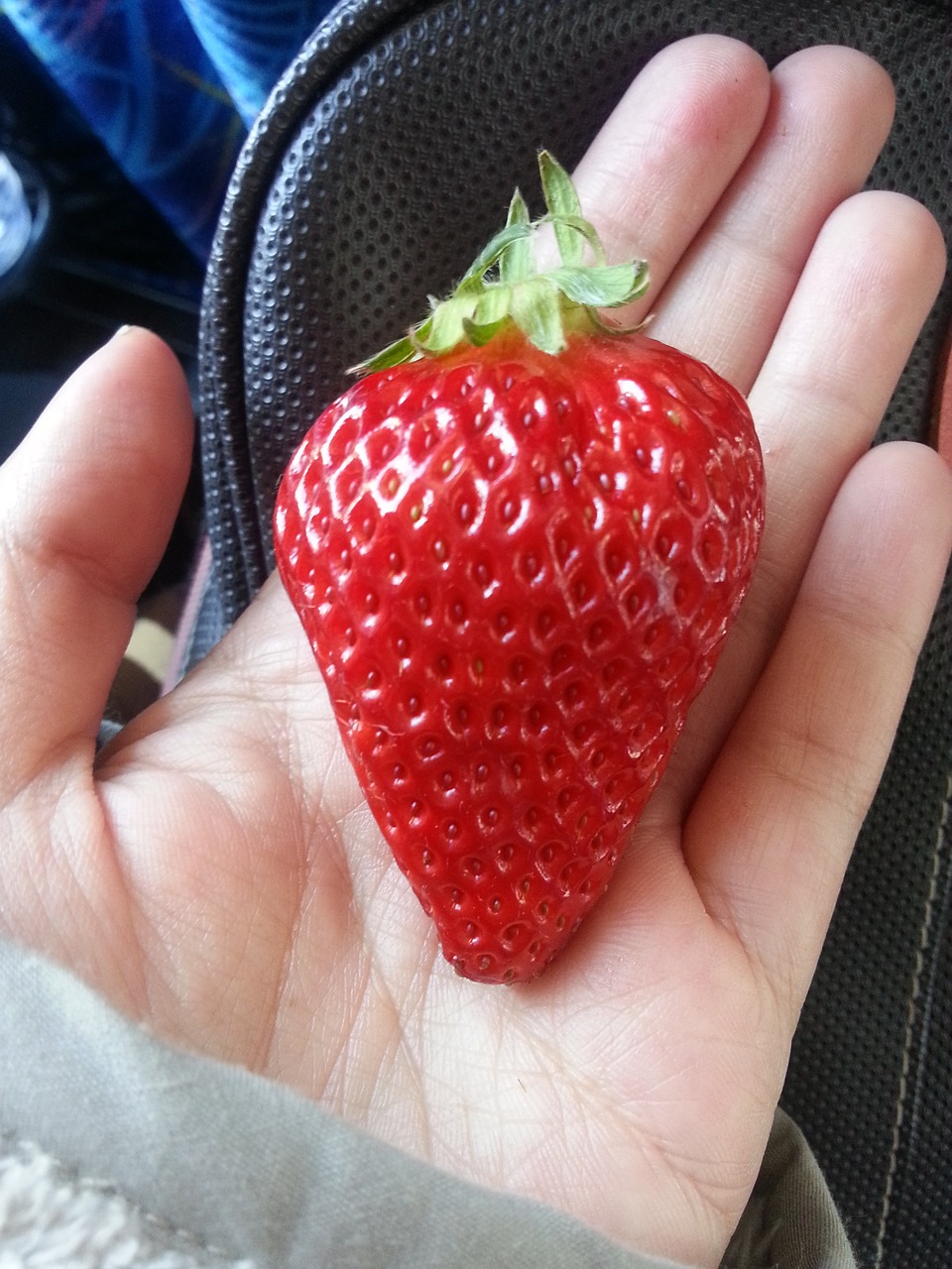 red fruit food free photo