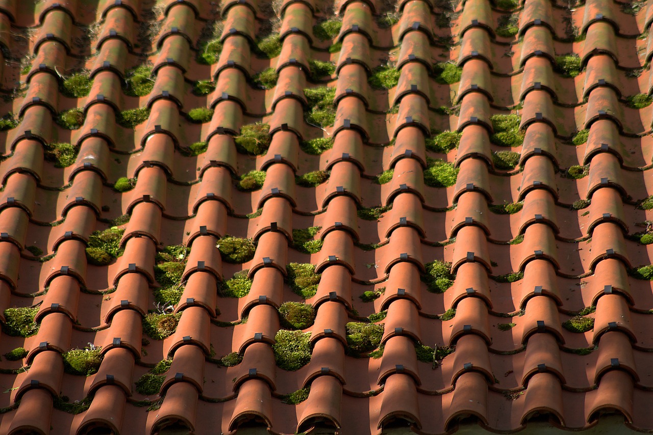 red tile weathered free photo