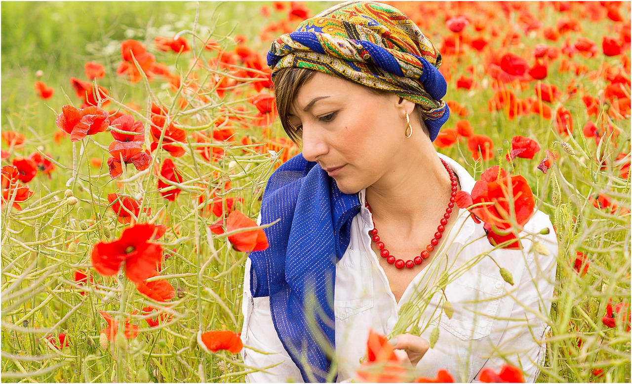 red poppy summer free photo