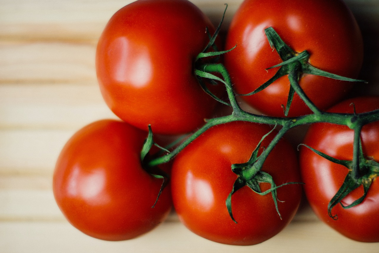 red tomatoes vegetables free photo