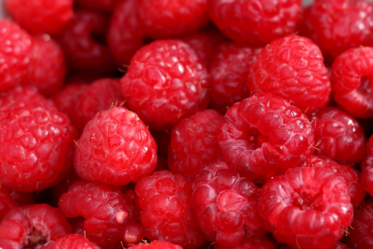 red raspberries fruits free photo