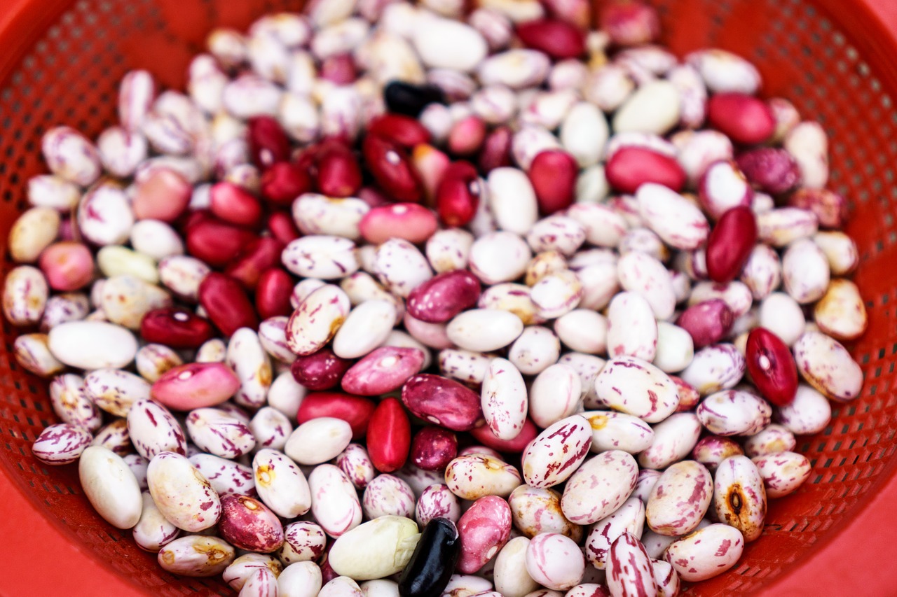 red beans basket free photo