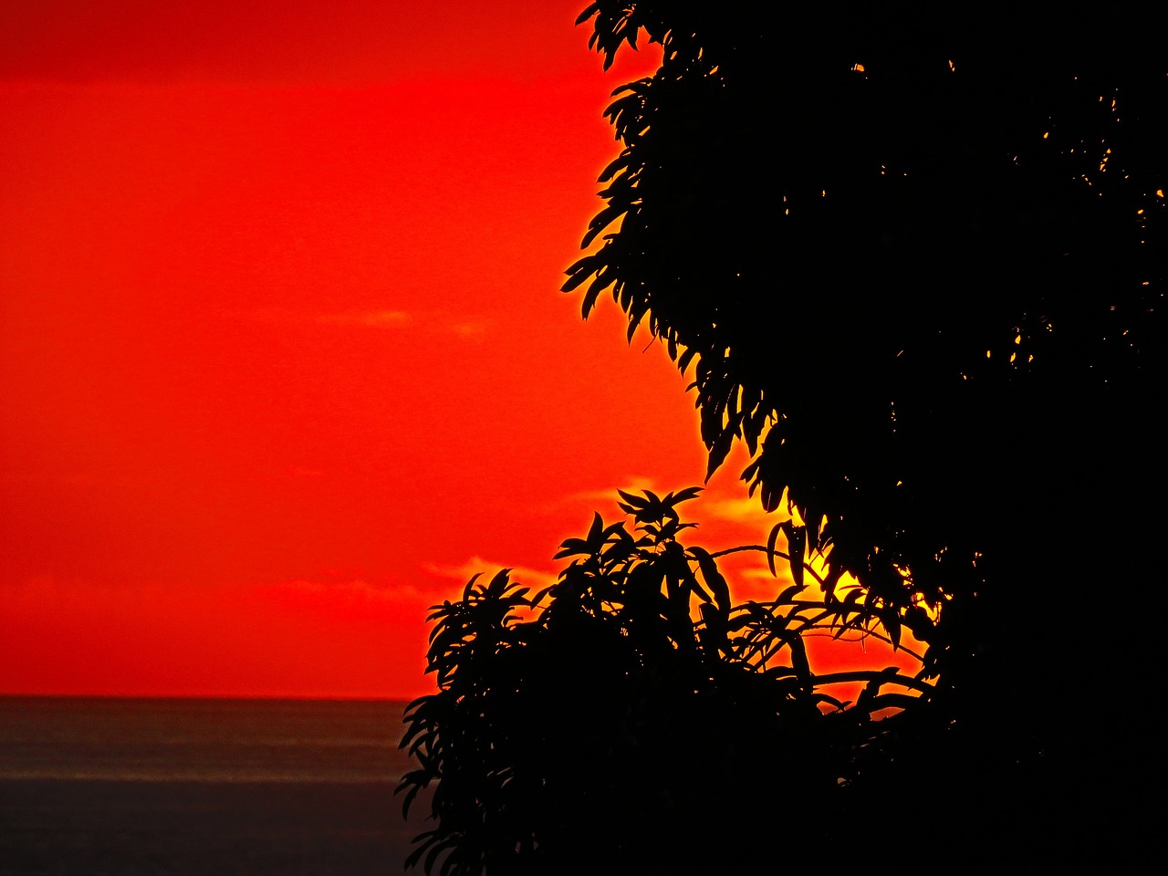 red yellow sun set free photo