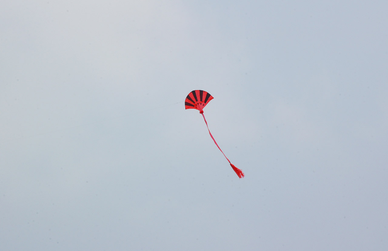 red black kite free photo