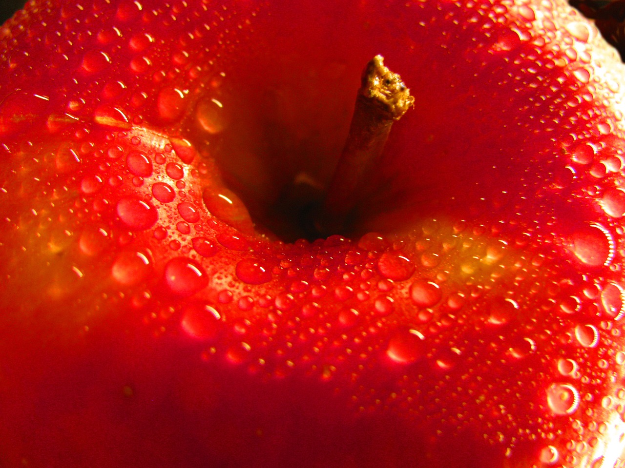 red apple apple fruit free photo