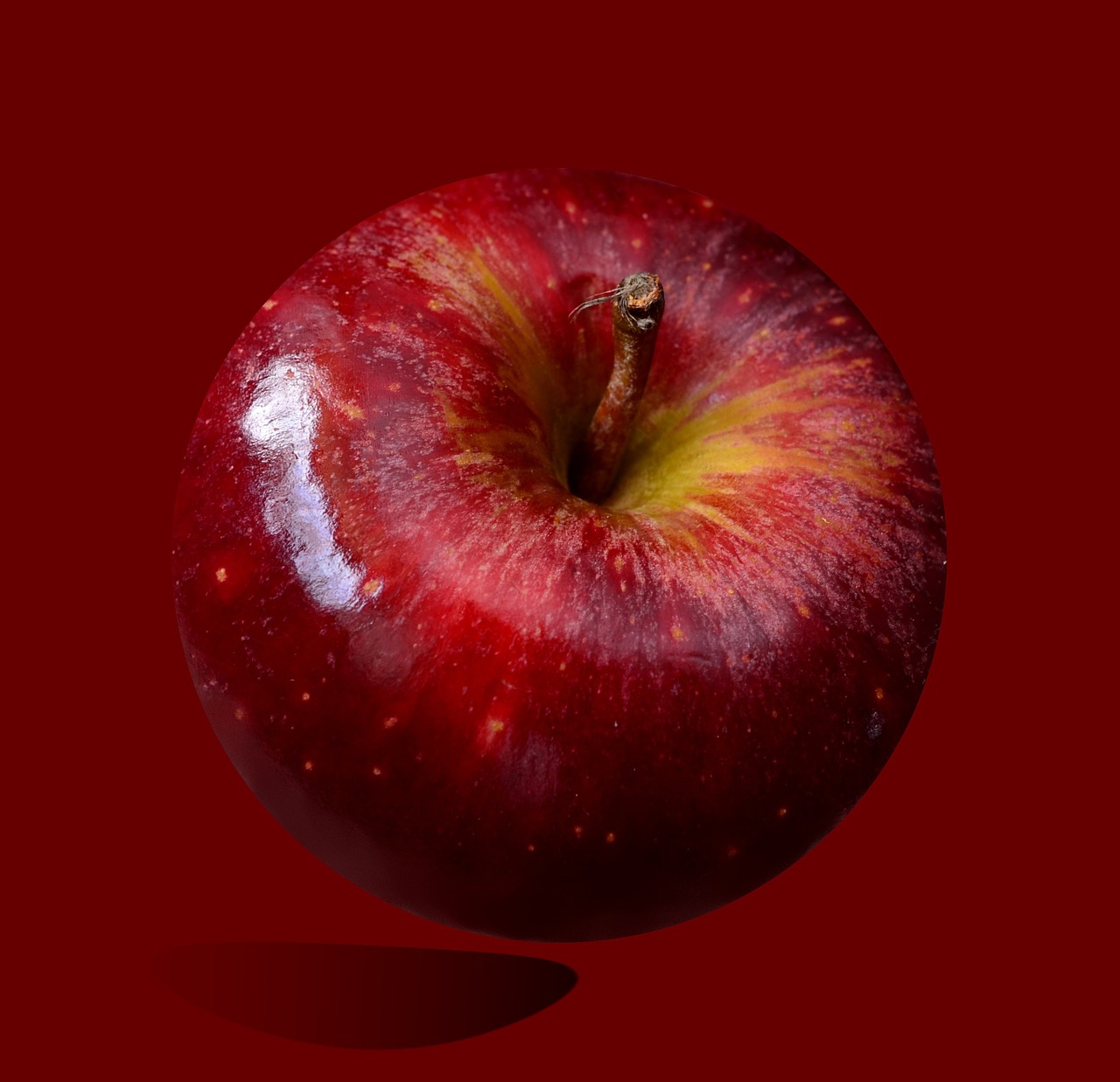 red apple red fruit shiny free photo