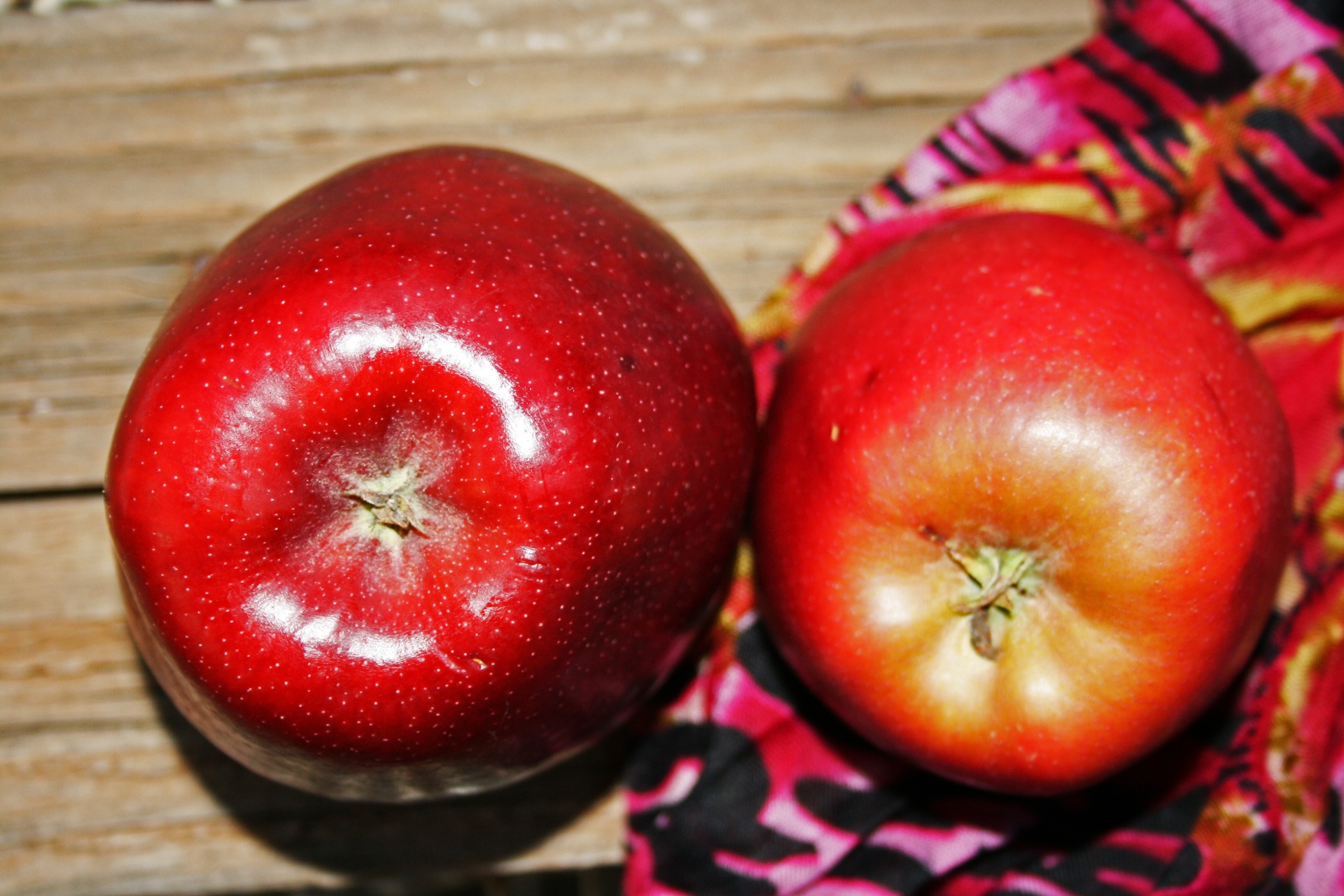 fruit apples red free photo