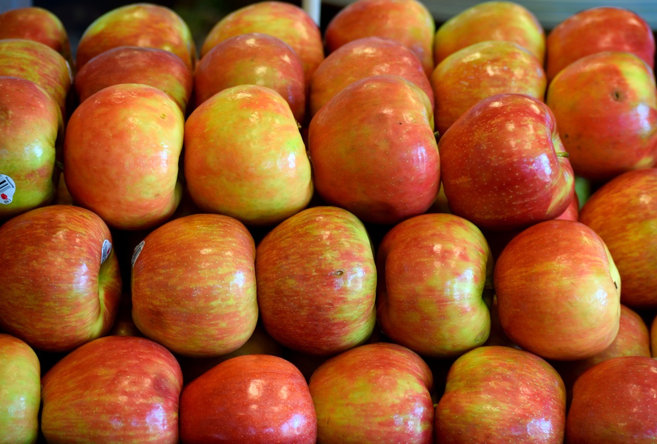 red apples fruit sweet free photo