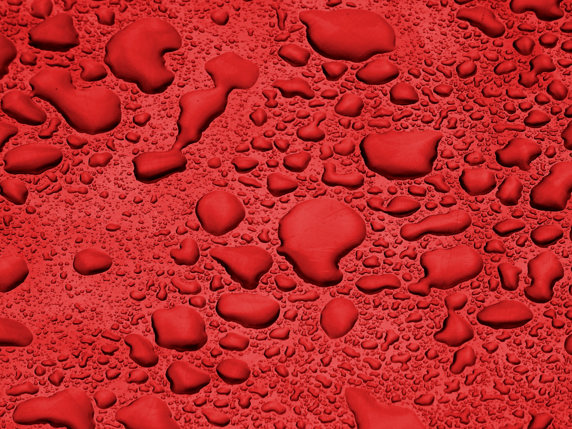 red rainfall rain free photo