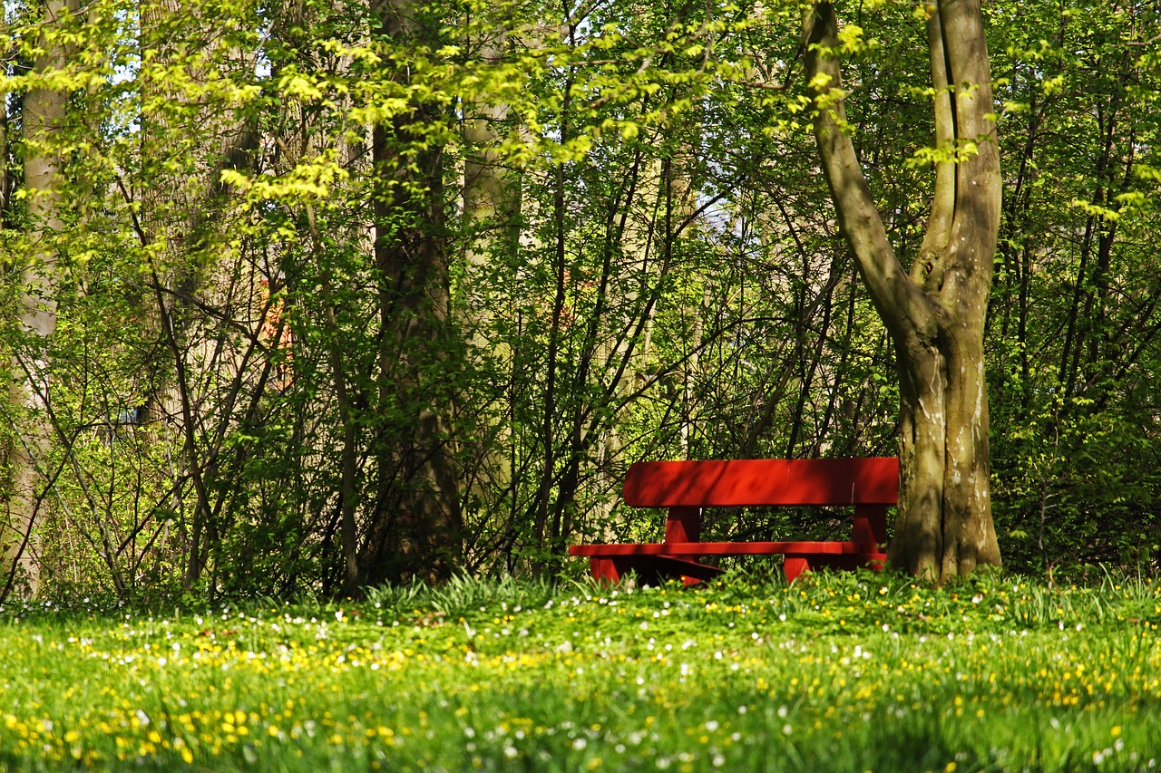 red bank  park bench  in the park free photo