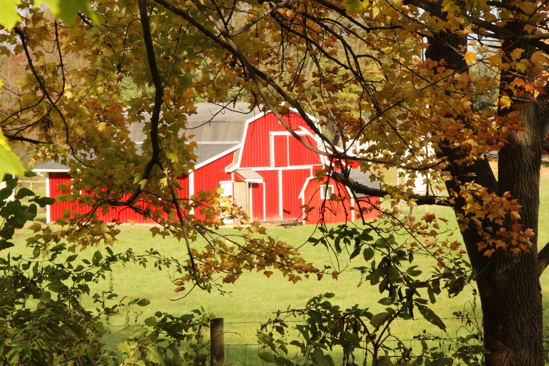 barn red barn red building free photo