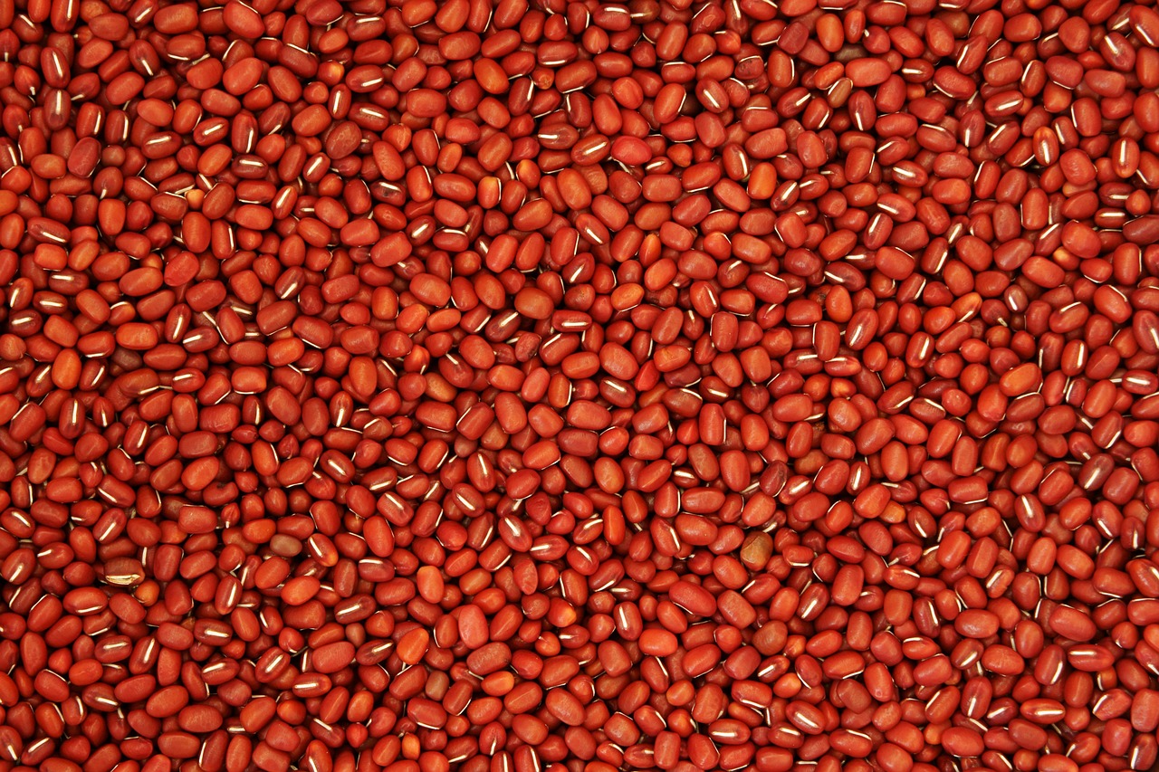 red bean pattern texture free photo