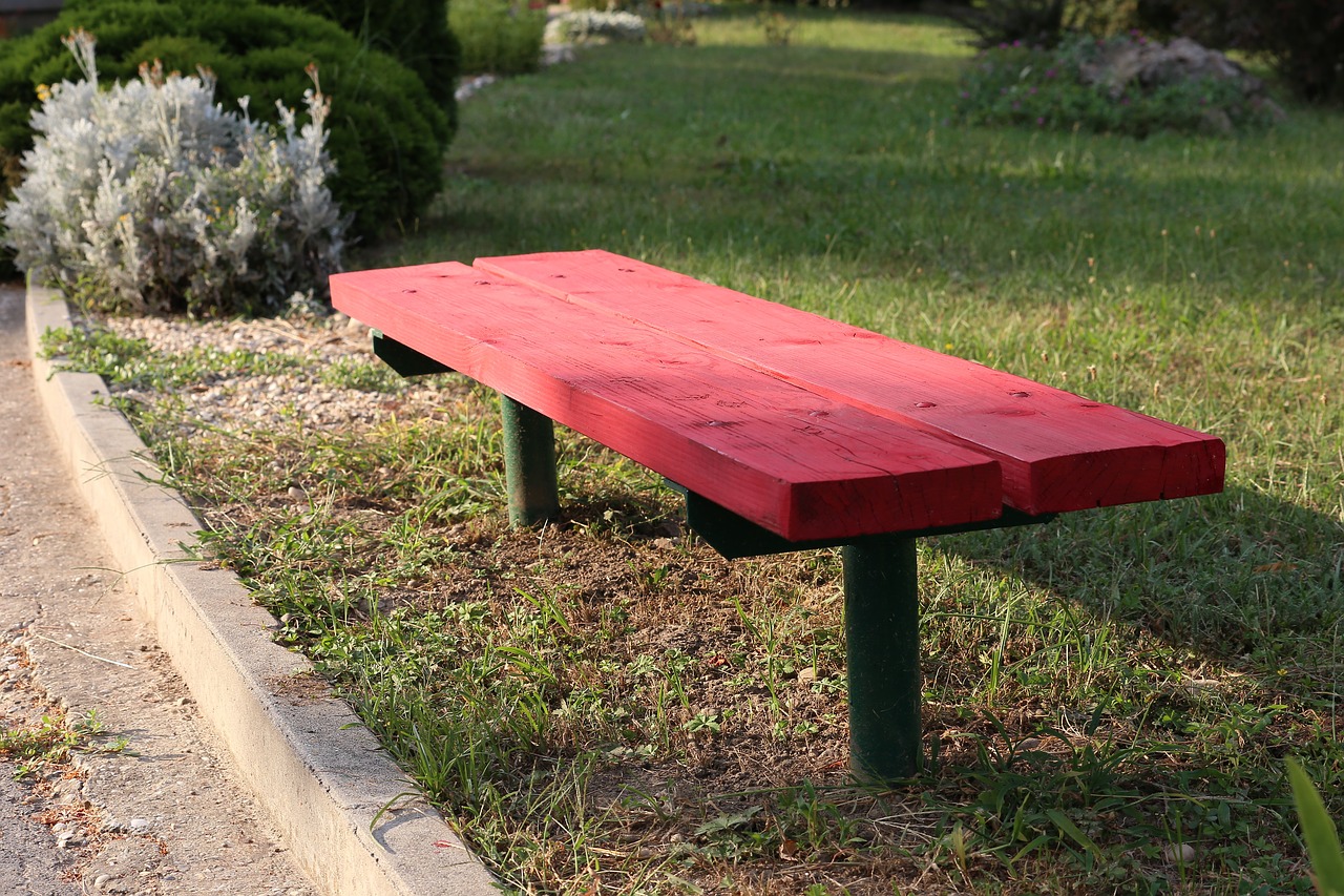 red bench  park  green free photo