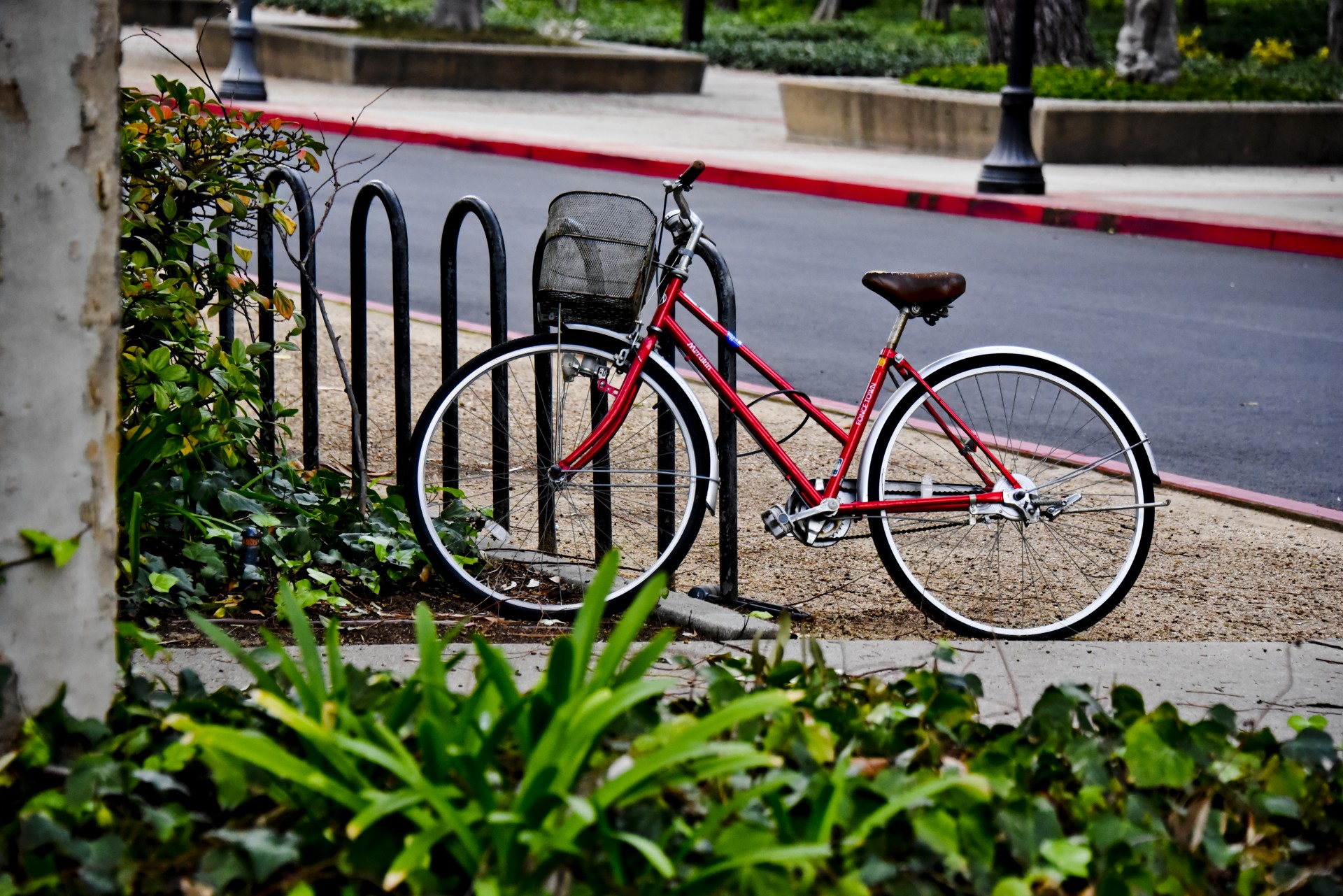 red bicycle plants free photo