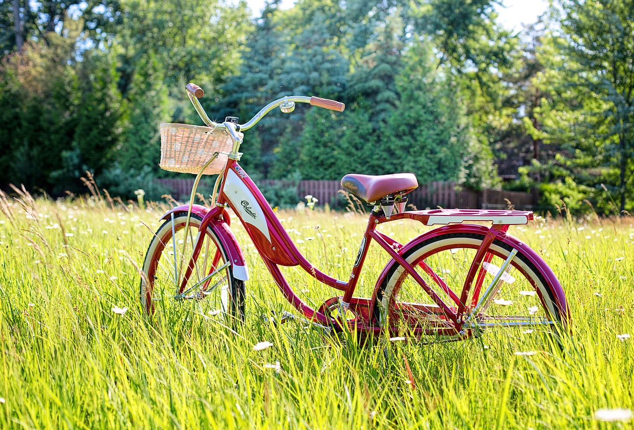 red bike  vintage bicycle  bicycle free photo
