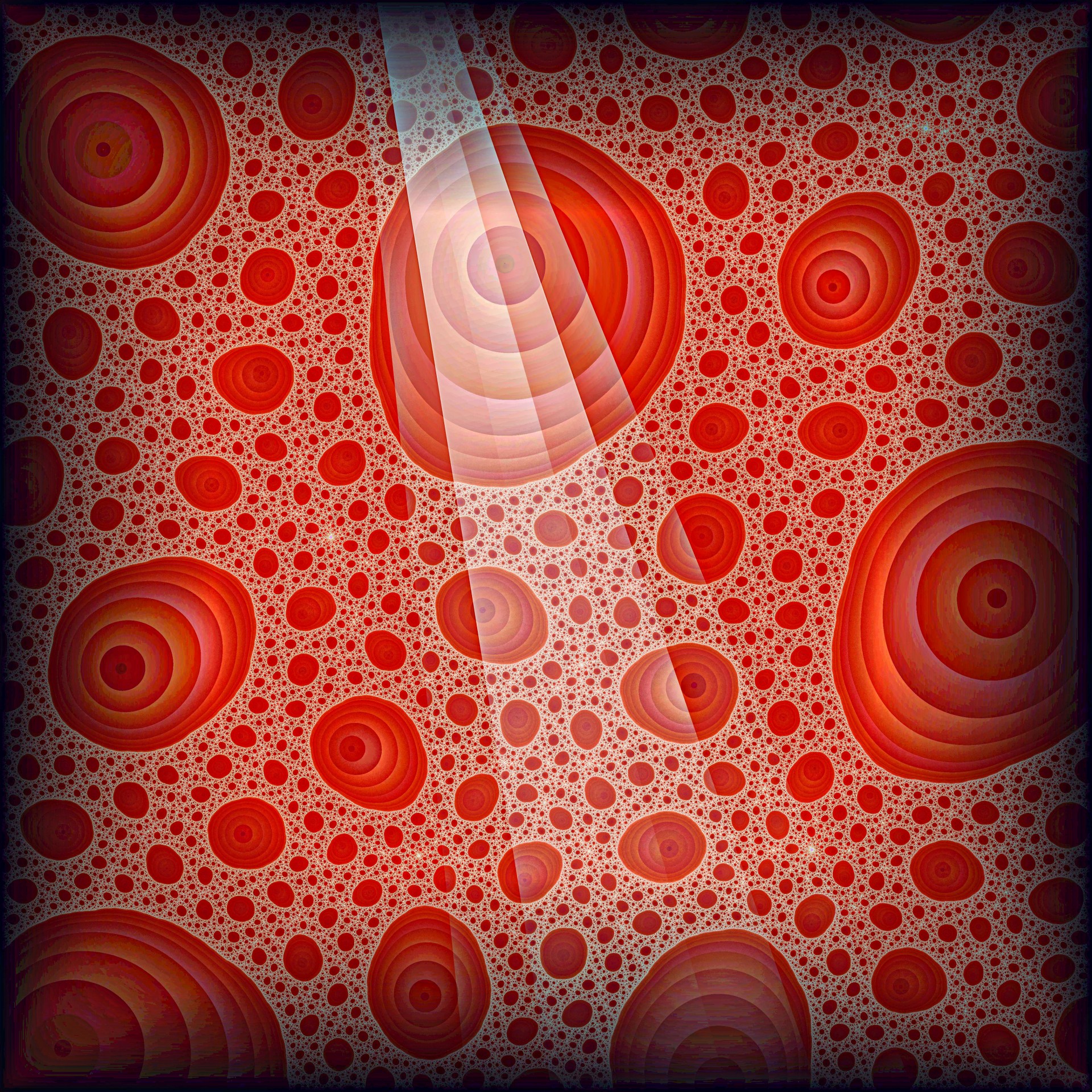 red blood cells free photo