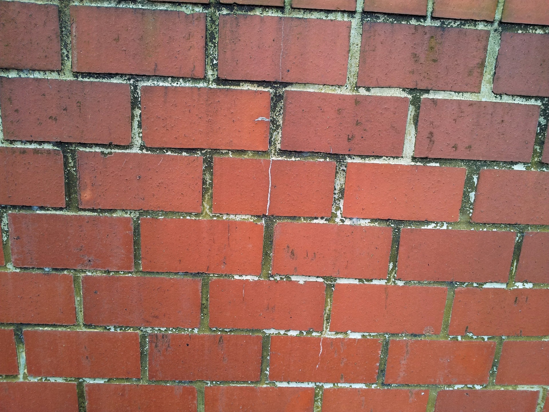 red brick wall free photo