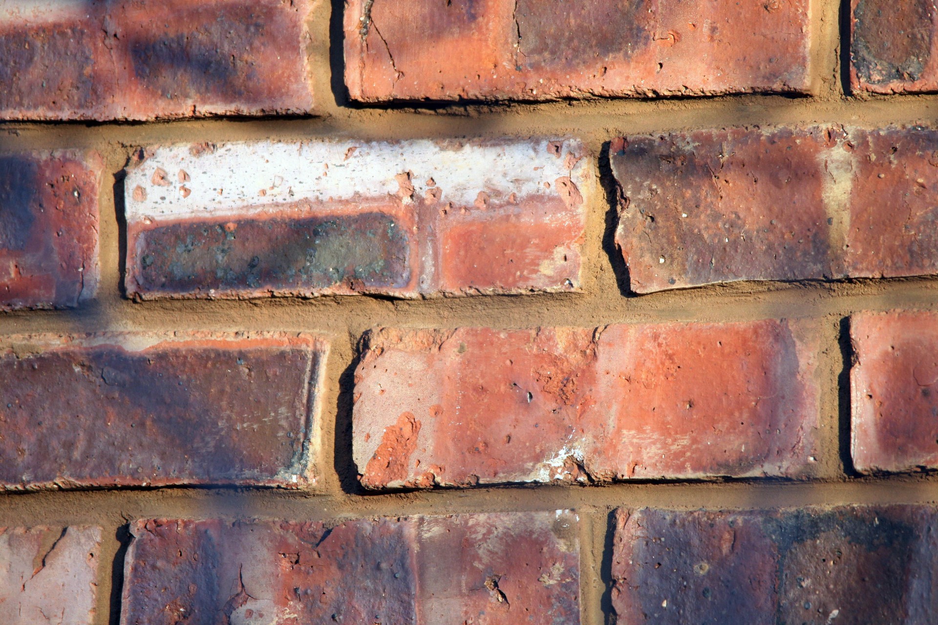 wall bricks red free photo